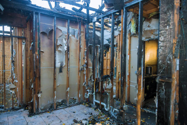 Professional Fire Damage Assessment technician working in Lafayette, TN
